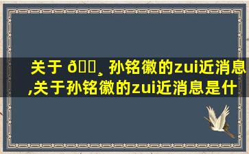 关于 🕸 孙铭徽的zui
近消息,关于孙铭徽的zui
近消息是什么